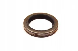 uszczelniacz-walu-briggsandstratton-classic-sprint-quatro-intek-quantum