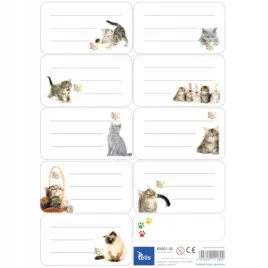 naklejki-zeszytowe-1-arkusz-06-nalepki-na-ksiazki