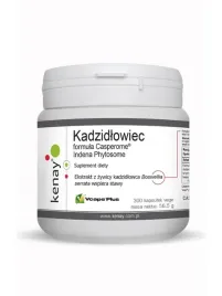 kenay-kadzidlowiec-casperome-indena-phytosome-300-kaps