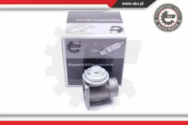zawor-egr-14skv174-skv