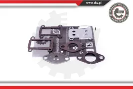 zestaw-napr-zaworu-egr-14skv528-skv