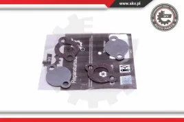 zestaw-naprawczy-zaworu-egr-14skv578-skv