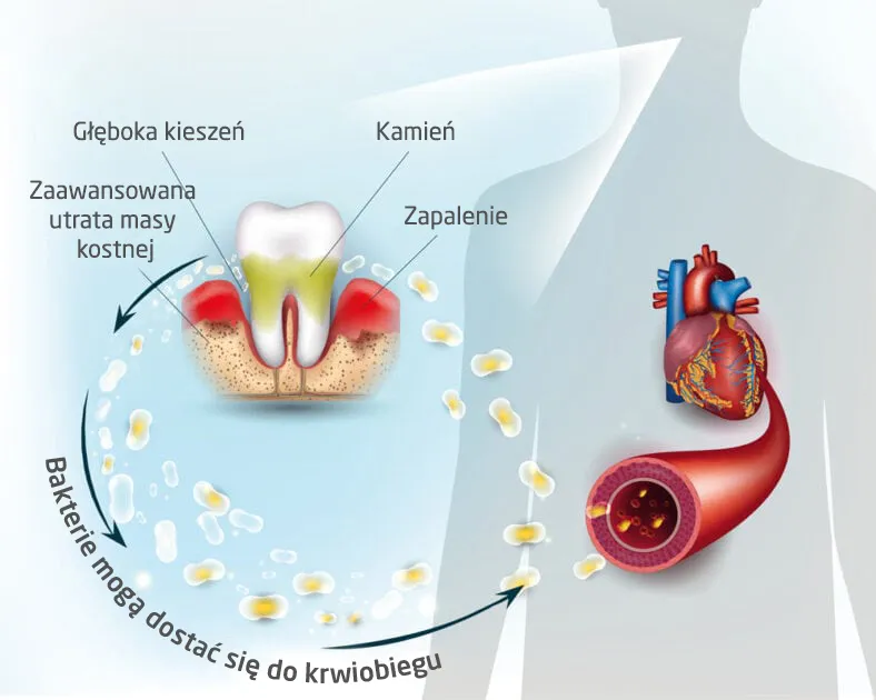 cleany-teeth-waga-z-opakowaniem-0-5-kg