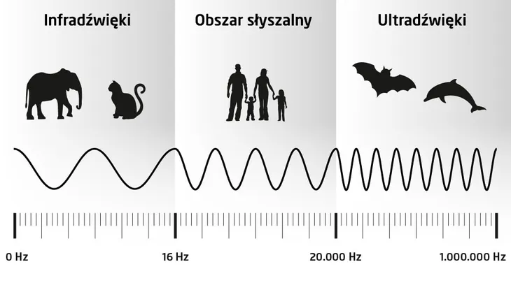 cleany-teeth-certyfikat-ce