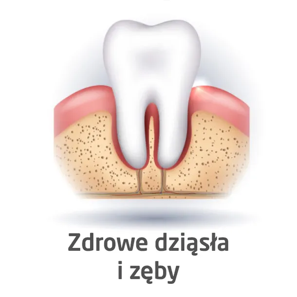 cleany-teeth-waga-z-opakowaniem-0-5-kg-stan-opakowania-oryginalne
