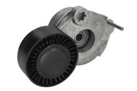 napinacz-paska-wieloklinowego-sw30943750