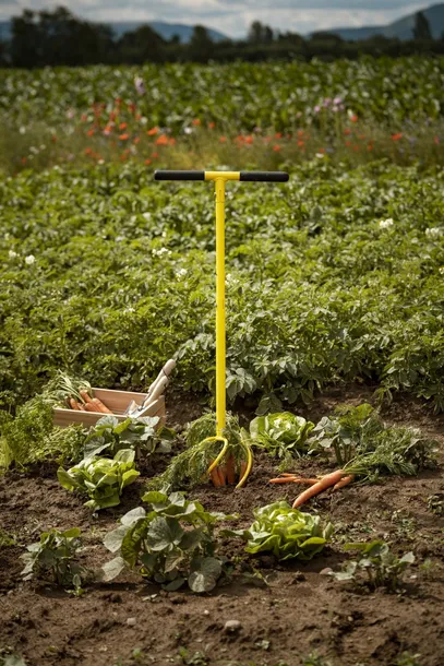 kultywator-adler-metal-99-cm-stan-nowy-rodzaj-kultywator