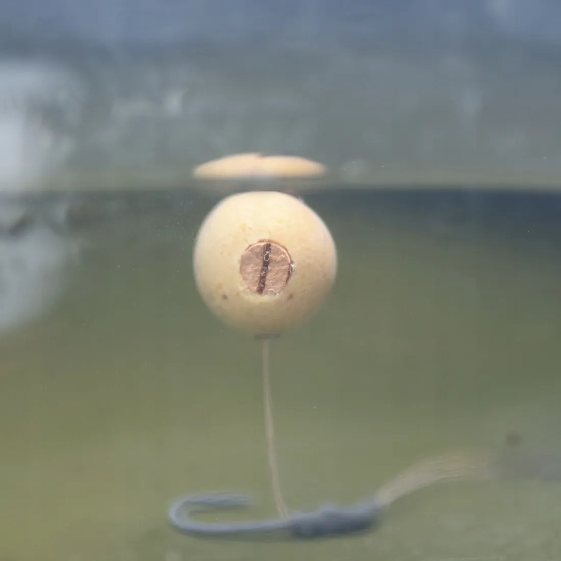 korek-do-przynet-8mm-undercarp