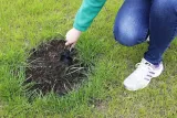 mocna-lopatka-do-sadzenia-roslin-fiskars-solid-pro-marka-fiskars-stan-nowy
