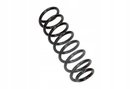 sprezyna-zaw-db-t-w168-97-