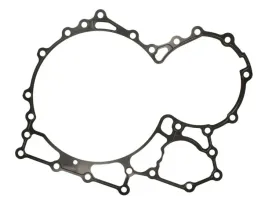 uszczelka-skrzyni-biegow-0501315048zf