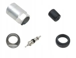 zestaw-naprawczy-czujnik-kola-syst-kontr-cisn-w-ogum-schrader-5017