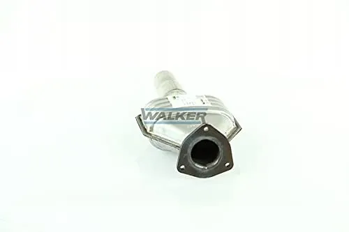 walker-20765-katalizator