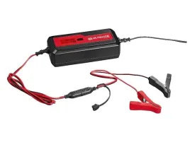 prostownik-12-24v-10a-20-300ah-automatyczny-do-kwasowych-agm-gel-ultimate