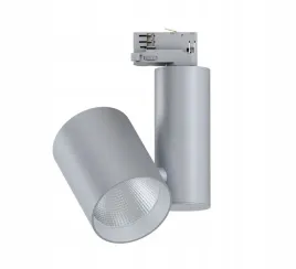 paulmann-reflektor-3-fazowy-zeuz-led-33w-60-4000k-dim-srebrny-mat