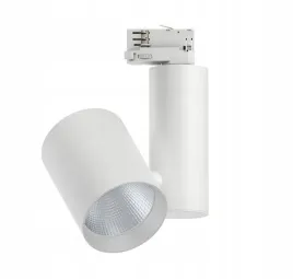 paulmann-reflektor-3-fazowy-zeuz-led-33w-60-3000k-dim-bialy-mat