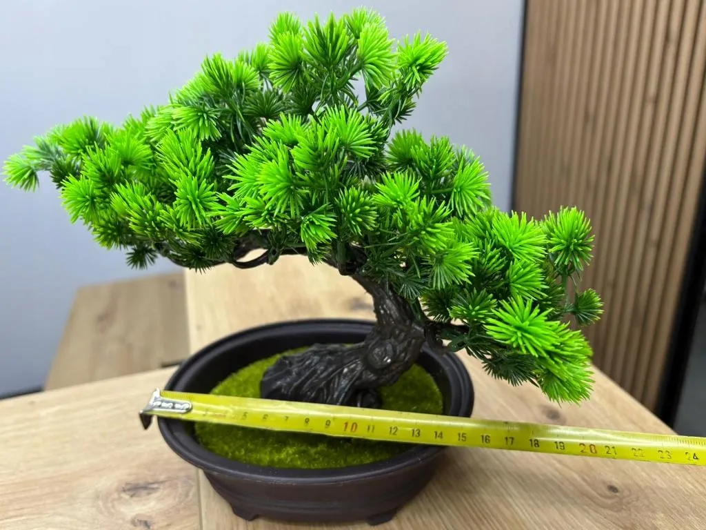bonsai tree guide The Ultimate Bonsai Handbook main image 1