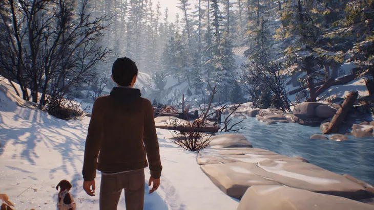 life-is-strange-2-ps4-ps5-stan-opakowania-oryginalne
