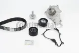pasek-rozrzadu-ct1162wp5-con-numer-katalogowy-oryginalu-citroen-16-135-619-80-citroen-16-350-672-80-citroen-1684448280-ds-1613561980-ford-1787859-ford-1855728-ford-1855729-ford-2008550-ford-2008686-ford-av6q8b596aak-ford-av6q8b596ab-ford-cv2q8b596aak-ford-cv2q8b596ab-peugeot-16-135-619-80-peugeot-16-350-672-80-peugeot-1684448280
