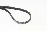 pasek-w-klinowy-5pk1441-con