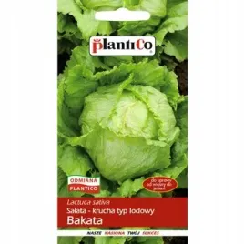 plantico-salata-bakata-nasiona-salaty-lodowej-plon-1000g