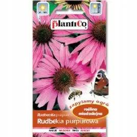 plantico-rudbekia-purpurowa-nasiona-bylin-kwiaty-purpurowo-rozowe