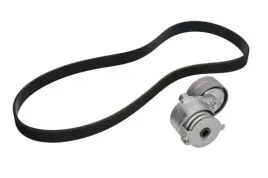 zestaw-paska-wieloklinowego-529008810-ina