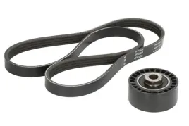 zestaw-paska-wieloklinowego-529010010-ina