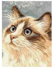 malowanie-po-numerach-kot-30x40cm