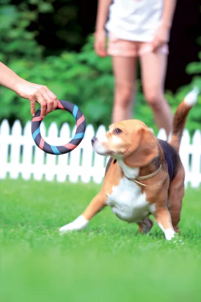 prosperplast-plotek-ogrodowy-35m-garden-classic-bialy-waga-z-opakowaniem-4-kg