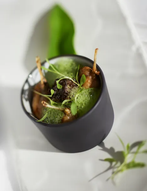 solid-miseczka-czarna-30-ml-revol-kolor-czarny