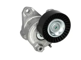 napinacz-paska-wieloklinowego-534006710-ina