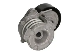 napinacz-paska-wieloklinowego-534005010-ina