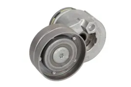 napinacz-paska-wieloklinowego-534024010-ina