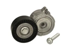 napinacz-paska-wieloklinowego-534037510-ina