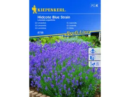 lawenda-waskolistna-hidcote-blue-strain-nasiona-kiepenkerl
