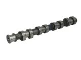 walek-rozrzadu-50006152-kbs