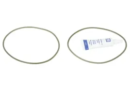 zestaw-uszczelek-tulei-cylindra-50007896-kbs