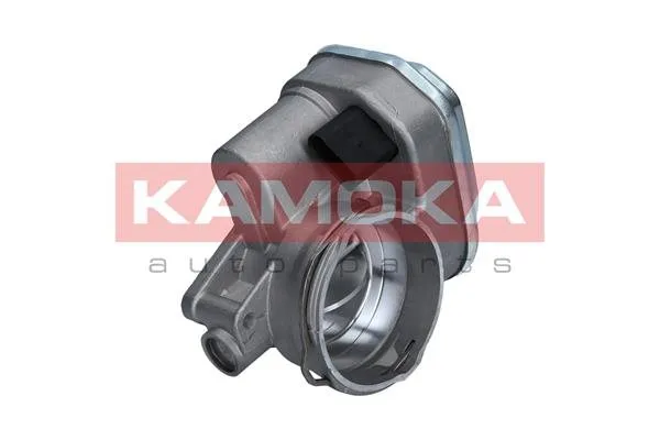 przepustnica-diesel-112002-kao