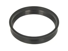 uszczelka-pompy-paliwa-v10-2562