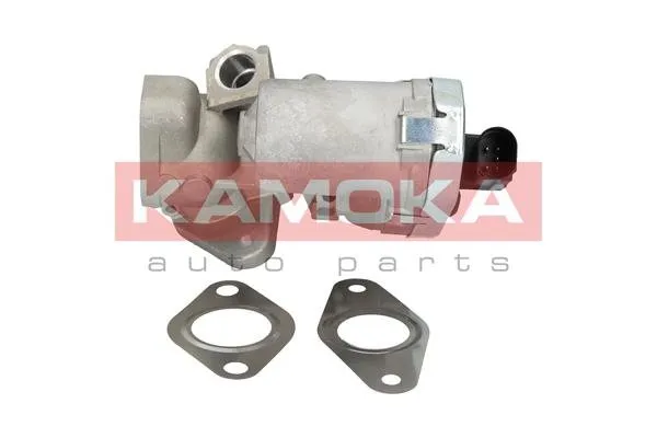 zawor-egr-19030-kao