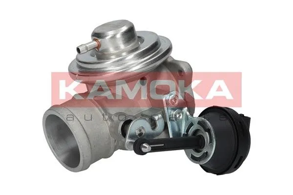 zawor-egr-19042-kao