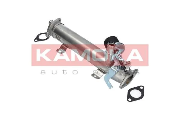 zawor-egr-19074-kao