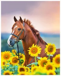 malowanie-po-numerach-30x40cm-kon-w-slonecznik
