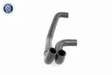 waz-chlodnicy-v10-2808-numer-katalogowy-oryginalu-audi-700121049l-audi-7d0-121-049-as-audi-7d0-121-049-l-opel-700121049l-seat-7d0-121-049-seat-7d0-121-049-as-seat-7d0-121-049-l-skoda-7d0-121-049-skoda-7d0-121-049-as-skoda-7d0-121-049-l-vag-7d0-121-049-vag-7d0-121-049-as-vw-7d0121049-vw-7d0121049a-vw-7d0-121-049-as-vw-7d0121049b-vw-7d0121049d-vw-7d0121049f-vw-7d0-121-049-l