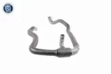 waz-chlodnicy-v10-2802-typ-samochodu-autobusy-samochody-dostawcze