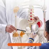 model-anatomiczny-szkielet-kod-producenta-vevor