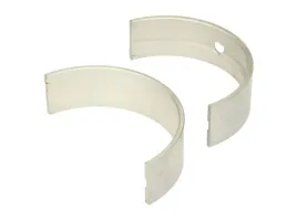 panewka-walu-korbowego-79431610-kbs