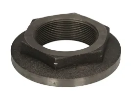 nakretka-piasty-kola-aug53749