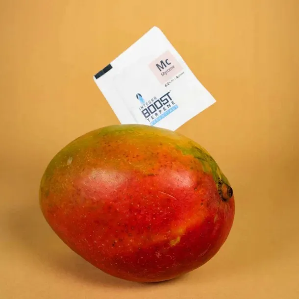 integra-boost-terpene-essentials-mircen-62percent-4g-liczba-sztuk-w-opakowaniu-1-szt-marka-inna